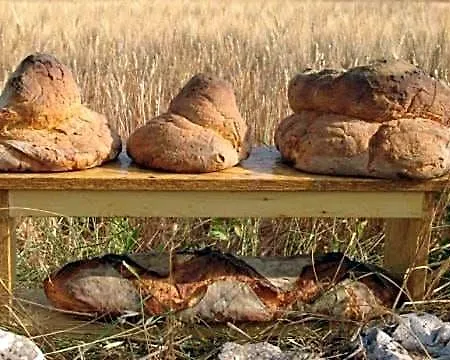 Alojamento de Acomodação e Pequeno-almoço Lalu